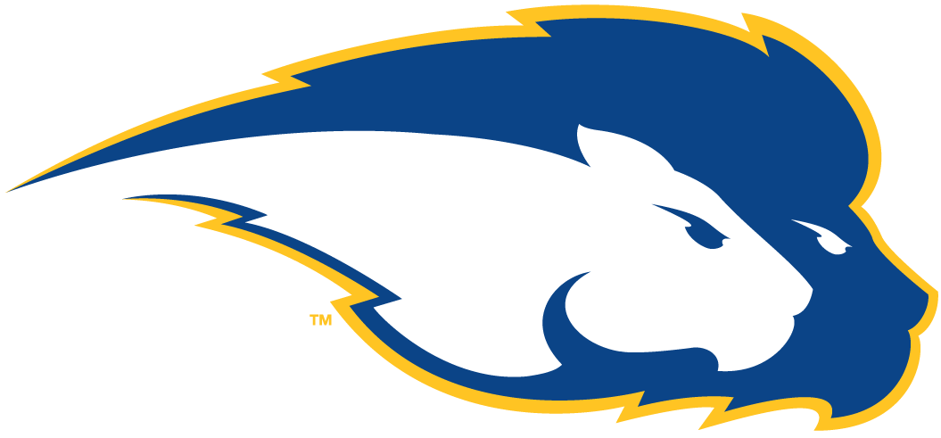Hofstra Pride 2005-Pres Secondary Logo iron on transfers for fabric